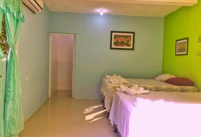 اتاق استاندارد با 2 تخت دوبل, Brunette Beach