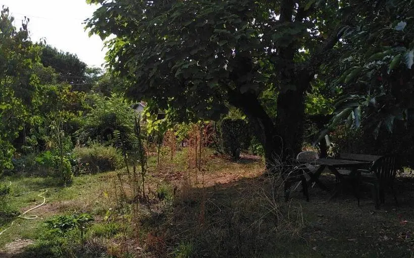 スタンダードルーム, Villa Lulu