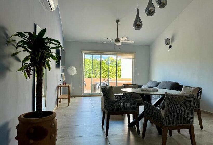 شقة غرفة واحدة, Sasay