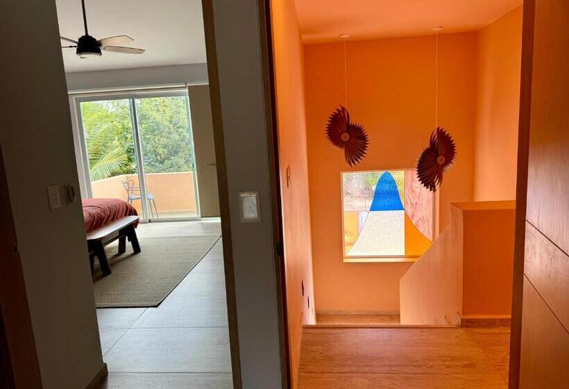 شقة غرفة واحدة, Sasay