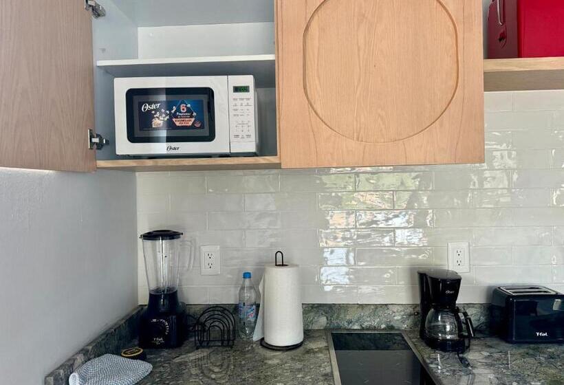 شقة غرفة واحدة, Sasay