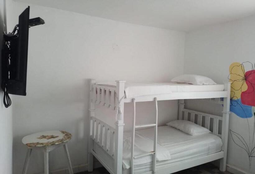 Четырехместный Номер Стандарт, Habibi