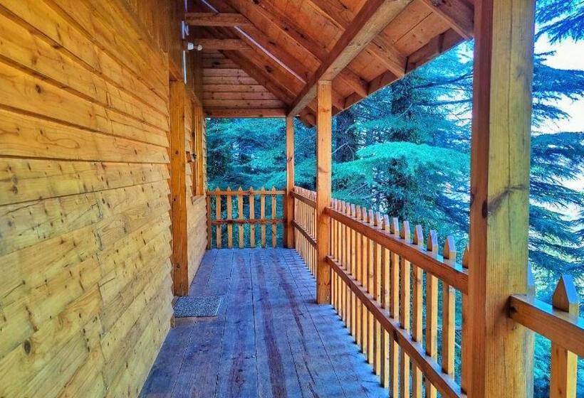 اتاق لوکس با بالکن, Mid Conifer Resort And Cottages