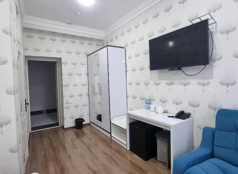 חדר סטנדרט, Parvoz