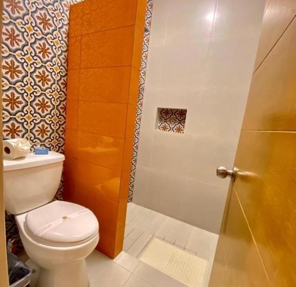 스탠다드 스튜디오, Marysol Las Palmas