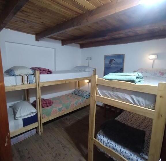 Кровать в Общей Комнате, Hostel Piltri