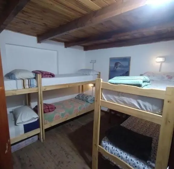 Vuode Makuusalissa, Hostel Piltri