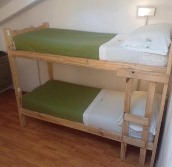 共用房间的床, Hostel Piltri