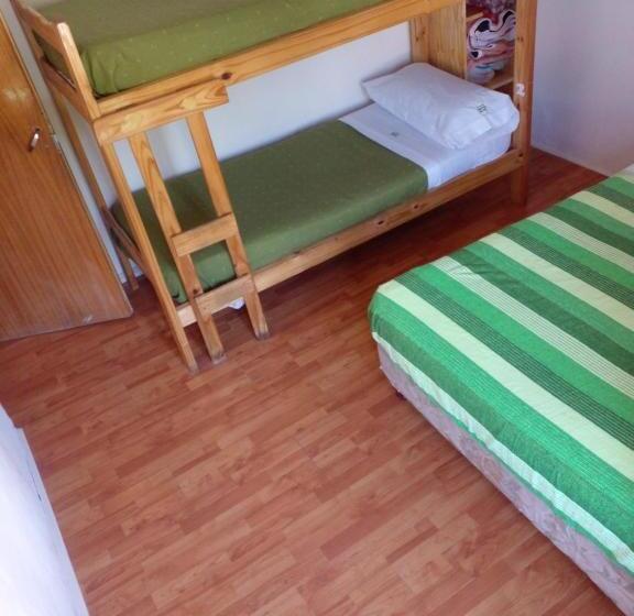 共用房间的床, Hostel Piltri