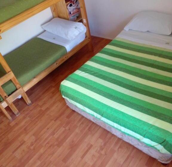 共用房间的床, Hostel Piltri