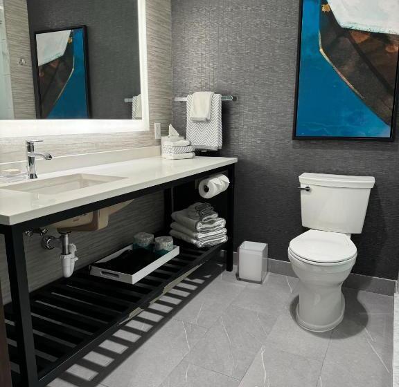 غرفة قياسية سرير كينج, Cambria Hotel Niagara Falls