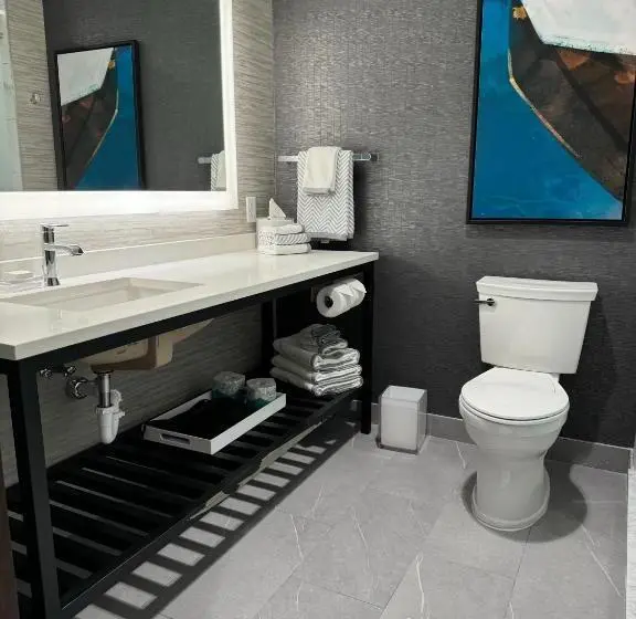 Sviitti King-vuode, Cambria Hotel Niagara Falls