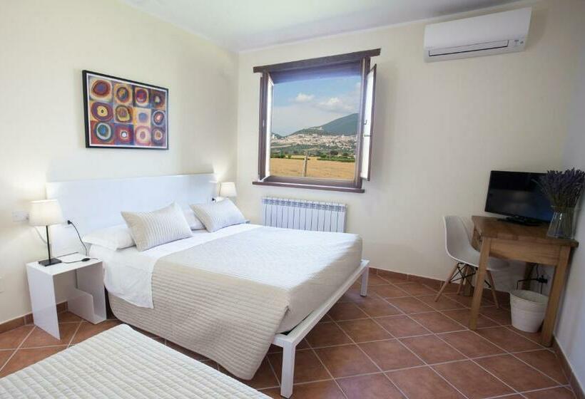 اتاق استاندارد, Assisium Agriturismo