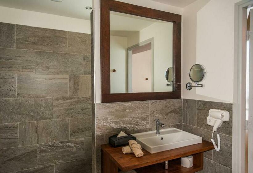 Cameră Standard, Le Battant Des Lames