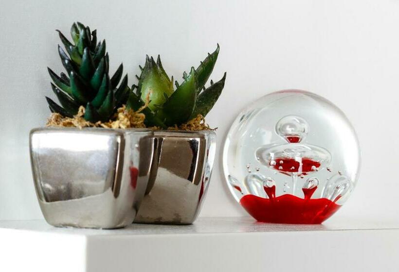 标准间, The Blue Lotus Guest House