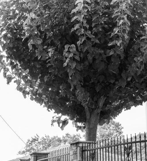 דירת חדר, Archontiko Michael Pelion