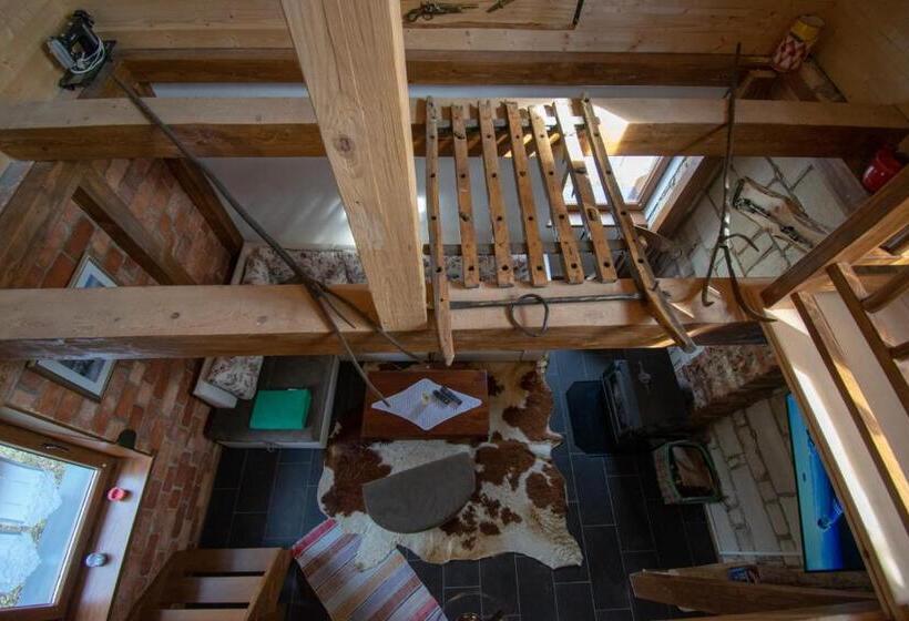 آپارتمان 1 خوابه, Holiday Park Hajducka Cesma