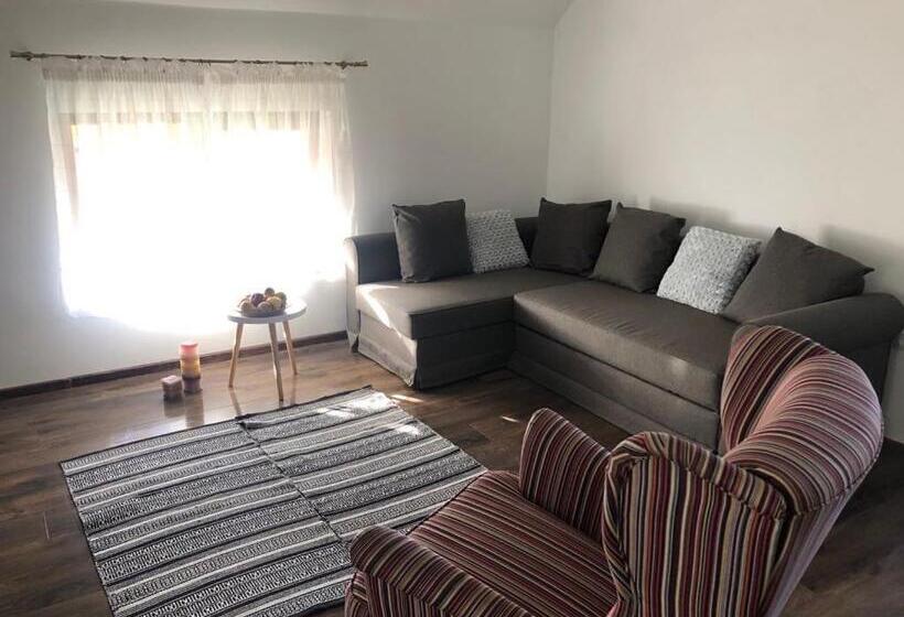 דירת חדר, Popasul Din Pietrar