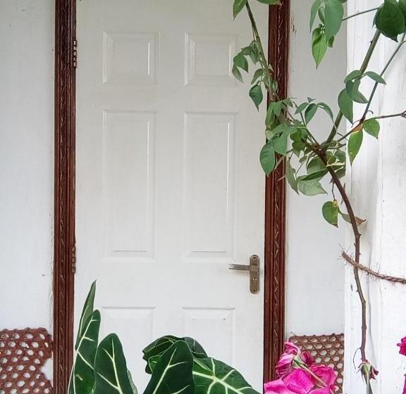 اتاق استاندارد با چشمانداز باغ, Le Sultan