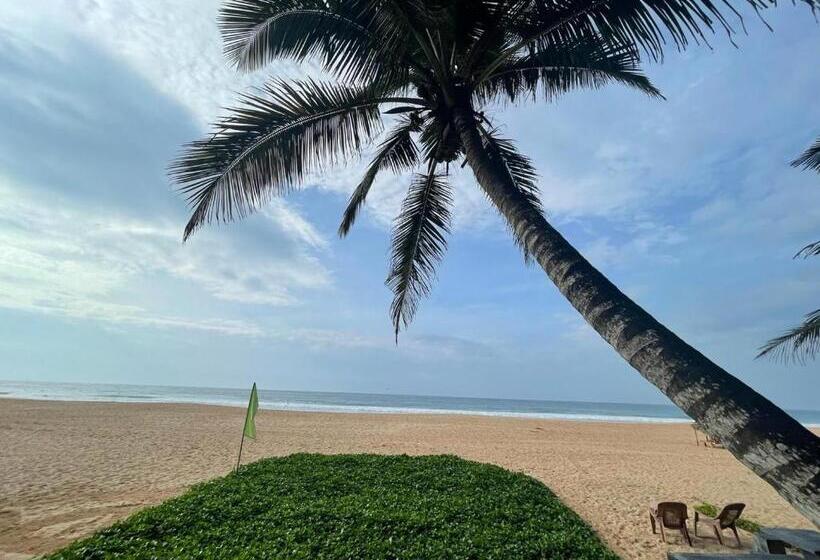 디럭스 룸, Sea Garden Beach Resort