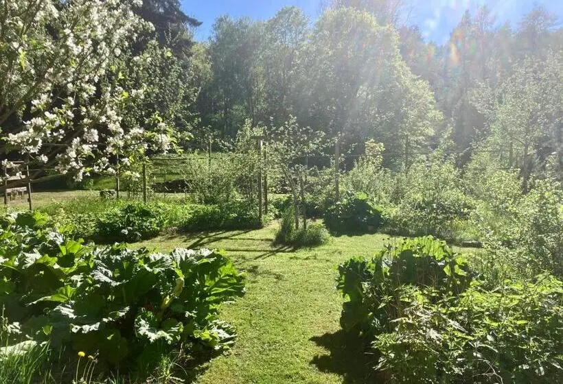 スタンダードルーム, Lidhem Herrgård. Bed & Breakfast Och Mindre Lägenheter