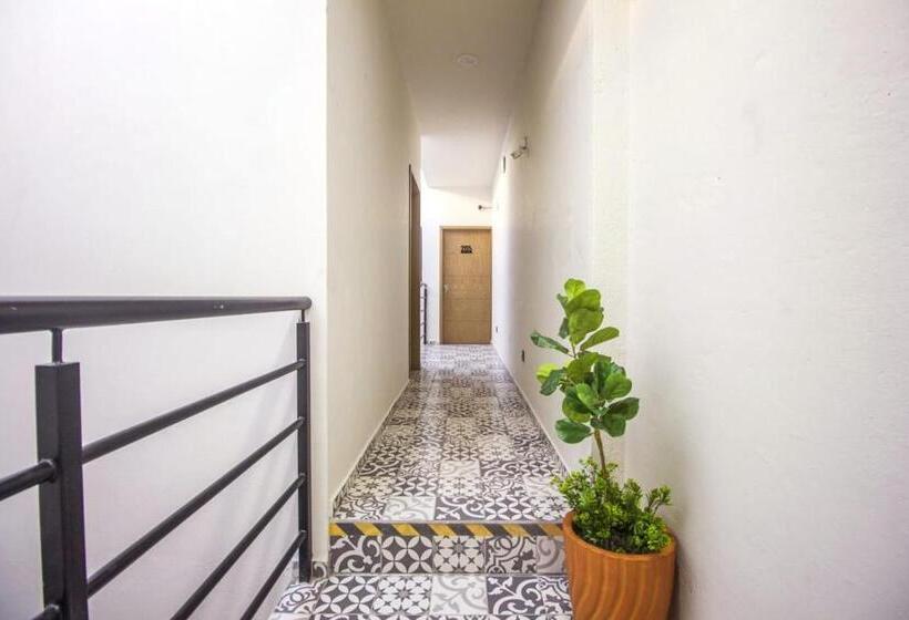 Quarto Estandar, Loft Alatorre