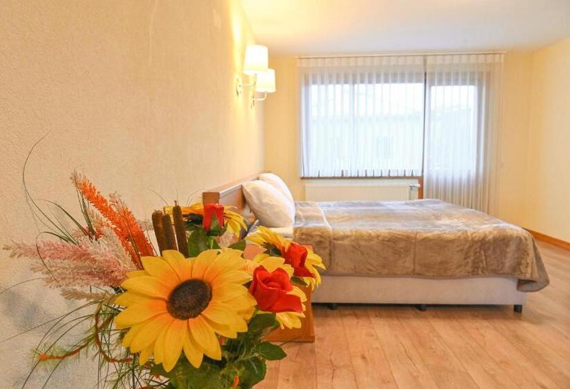 Семейный Номер, къща за гости гранит