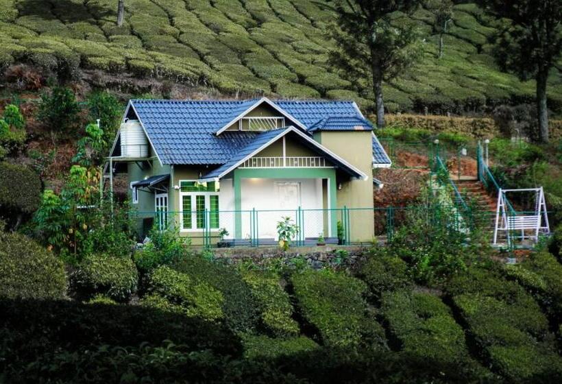 Номер Стандарт, Greenlush 2