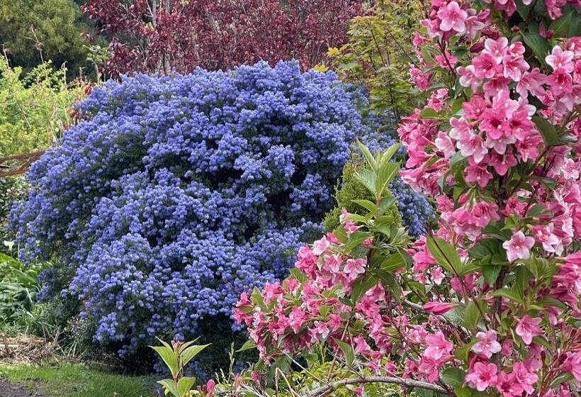 חדר דלוקס נוף לגינה, The Hill House Panorama