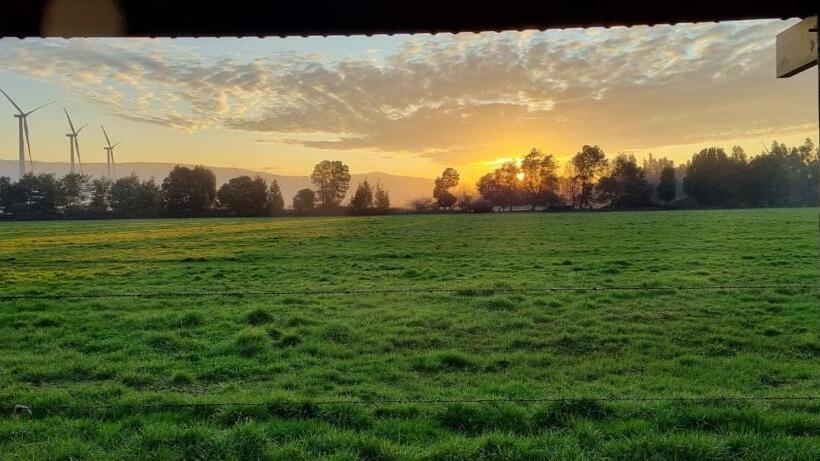 غرفة ديلوكس, Zoe Lodge