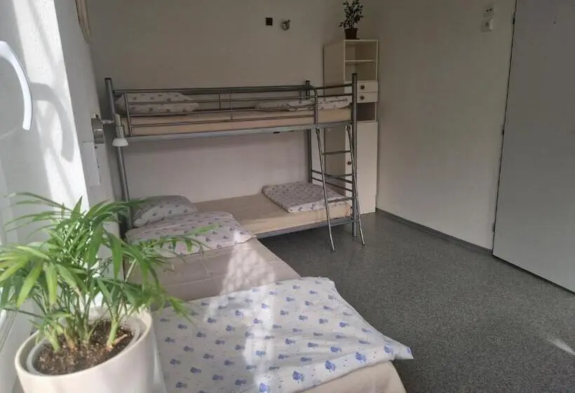 Perhesviitti, Penzión Koliesko