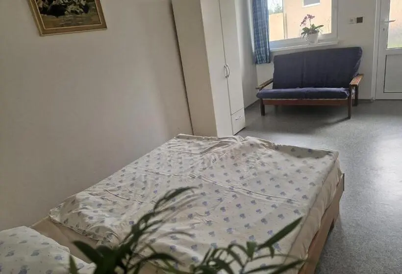 Perhesviitti, Penzión Koliesko