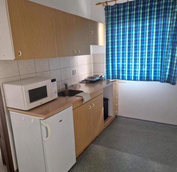 Family Suite, Penzión Koliesko