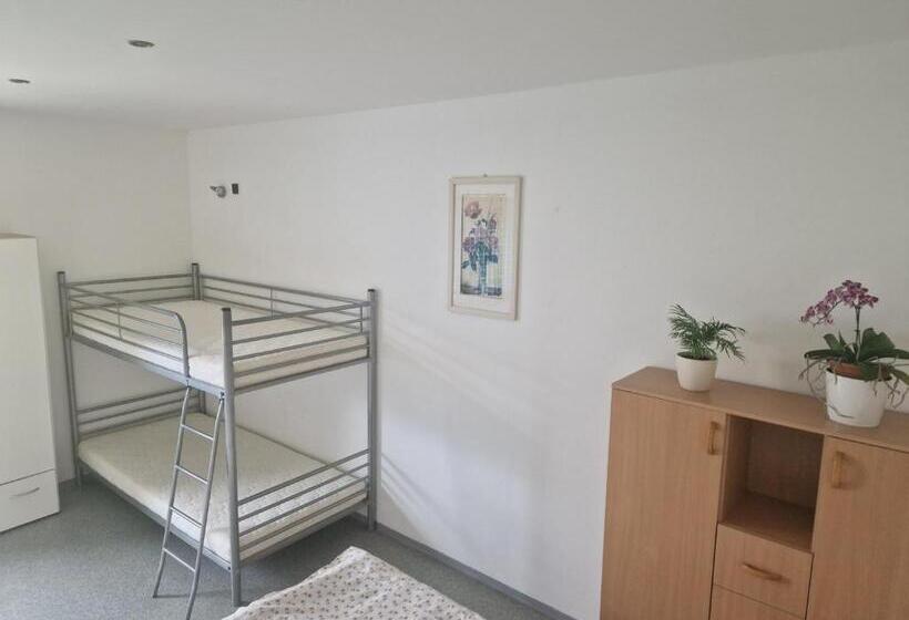 Четырехместный Номер Стандарт, Penzión Koliesko