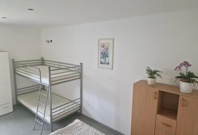 Standard Neljän Hengen Huone, Penzión Koliesko