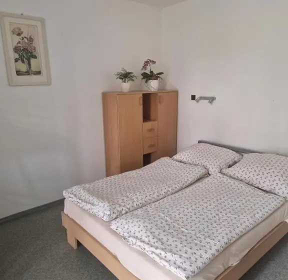 Standard Neljän Hengen Huone, Penzión Koliesko