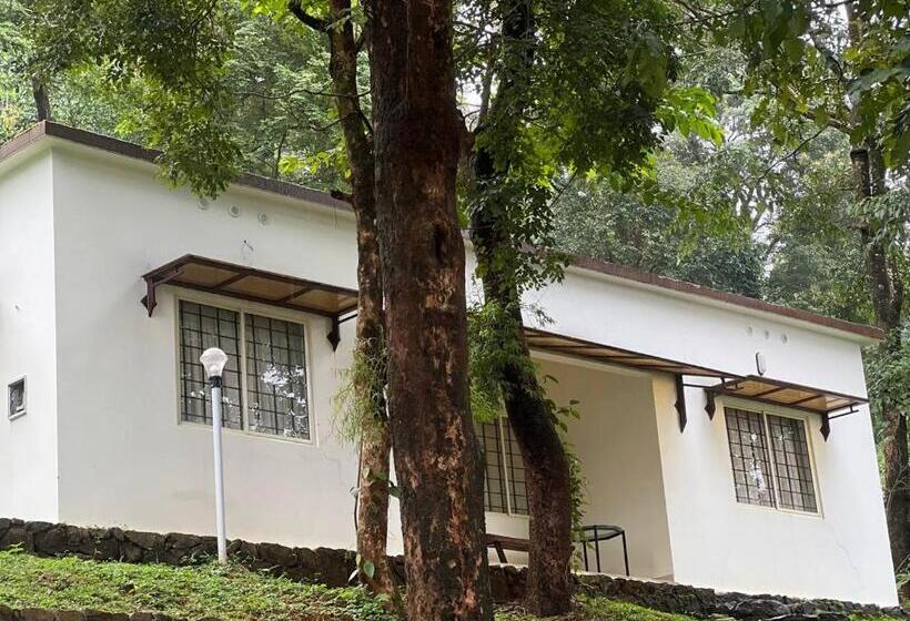 스탠다드 전망 룸, Gairah Resort