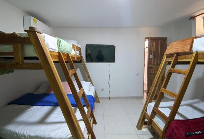 Четырехместный Номер Стандарт, Dreimar Hotel Boutique