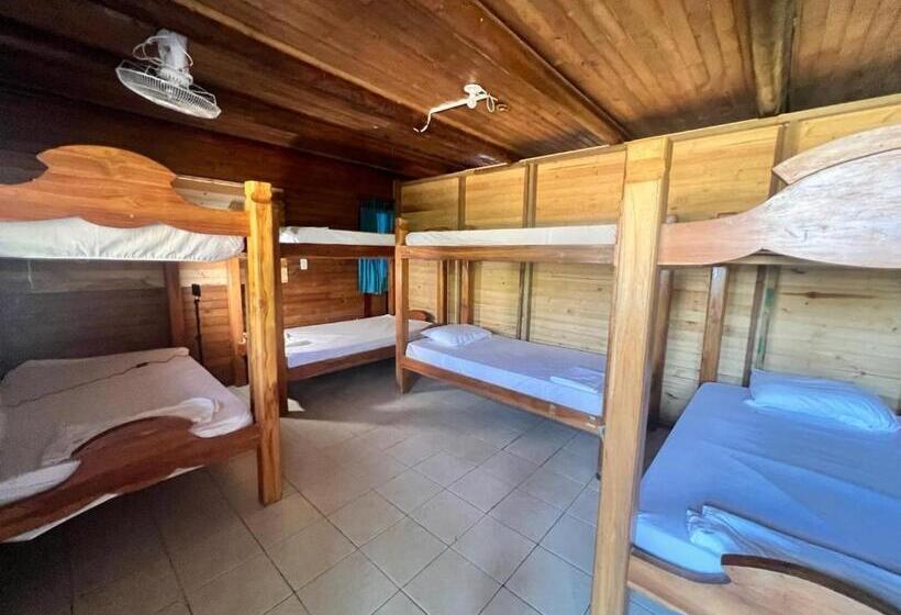 מיטה בחדר משותף, El Arca