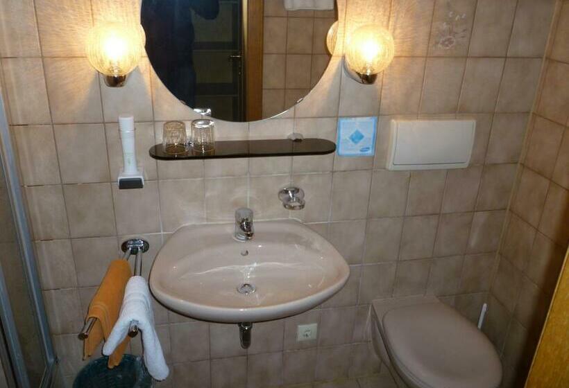 חדר סטנדרט יחיד, Landgasthof Obermaier Zum Vilserwirt