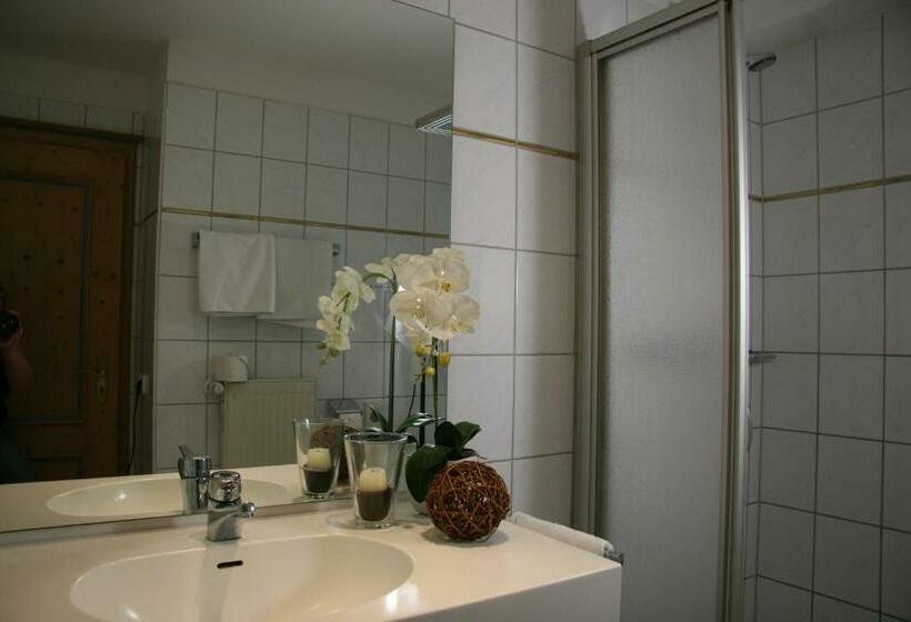 חדר סטנדרט, Landgasthof Obermaier Zum Vilserwirt