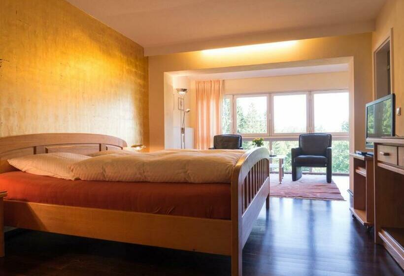 Номер Deluxe Одноместный, Landhaus Berghof