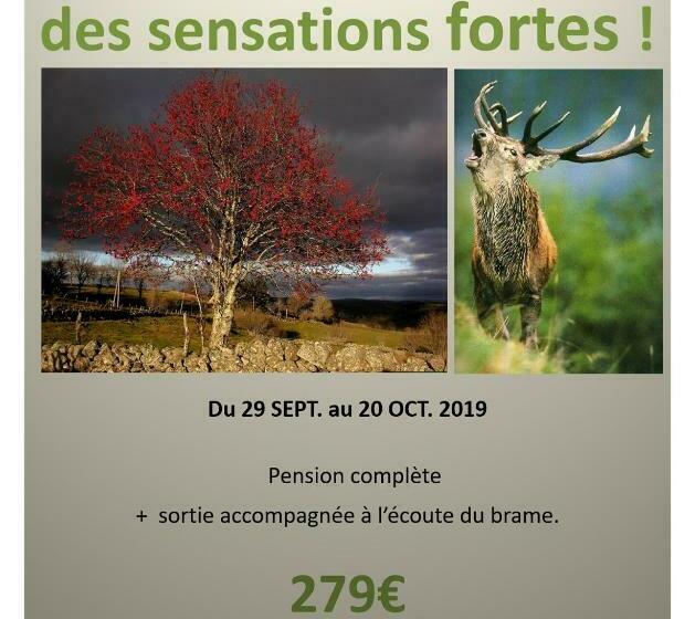 スタンダードルーム, Hôtel La Randonnée