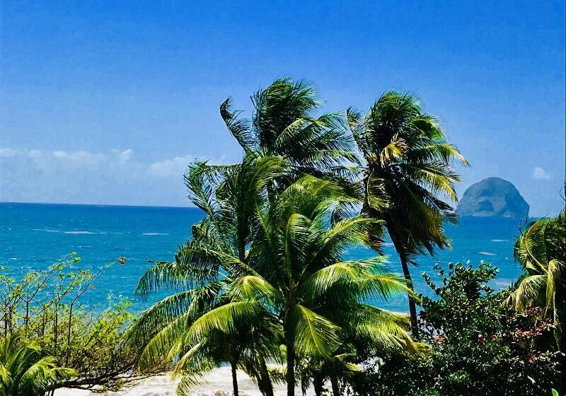 标准间, Numazu Club