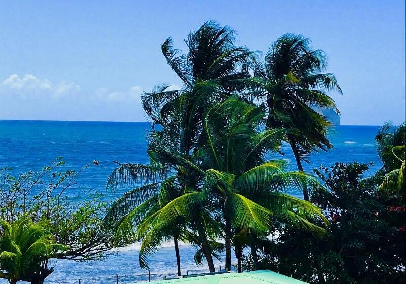 标准间, Numazu Club