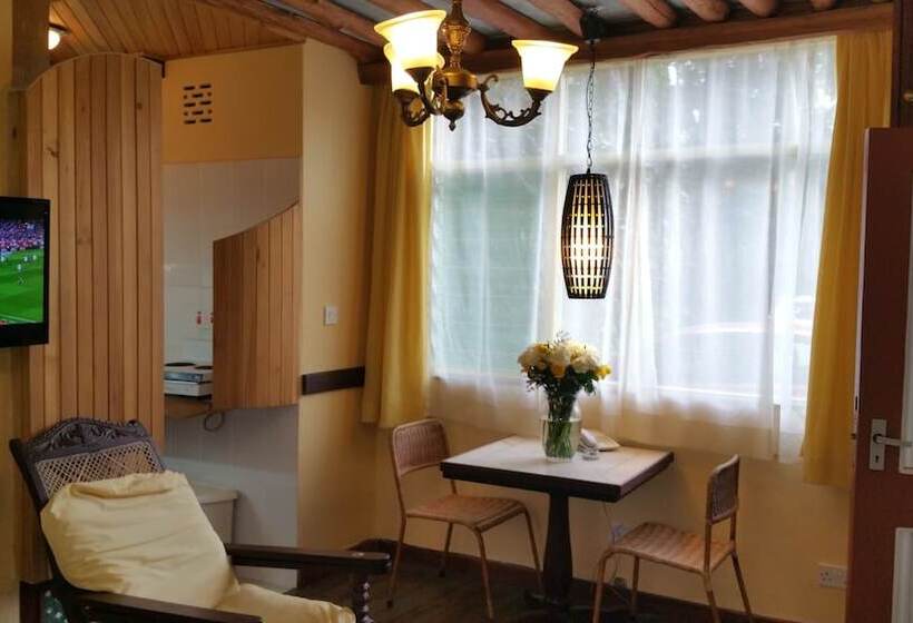 استودیوی استاندارد, Woodmere Grand Hotel & Serviced Apartments