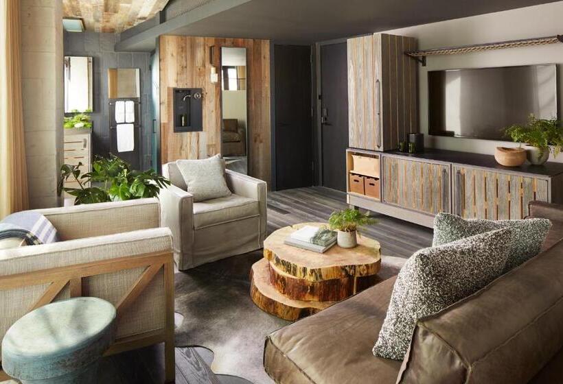 Студия Deluxe, 1 Hotel Brooklyn Bridge