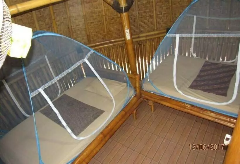 ルームシェアのワンベッド, Fantastic Bnb