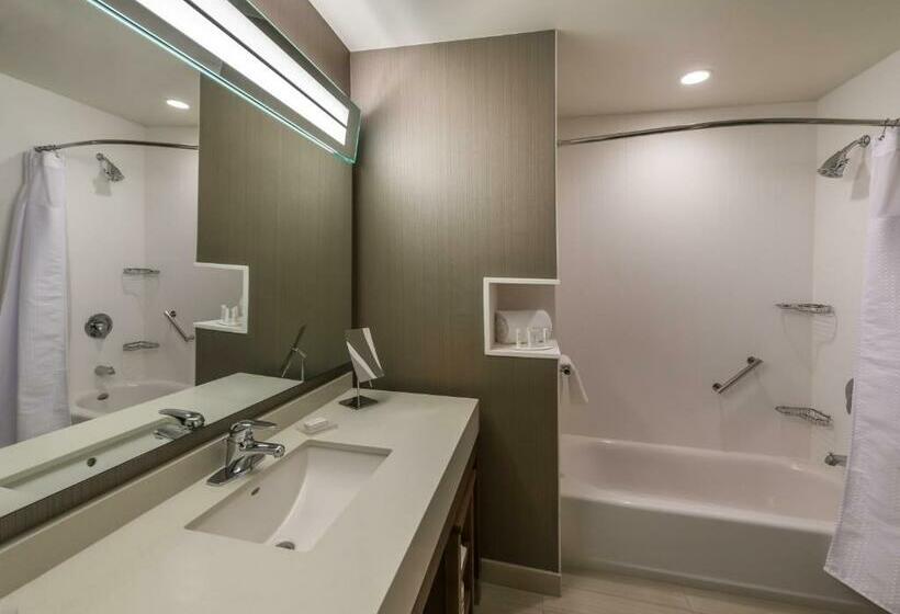 スタンダードルーム, Courtyard By Marriott Reno Downtown/riverfront