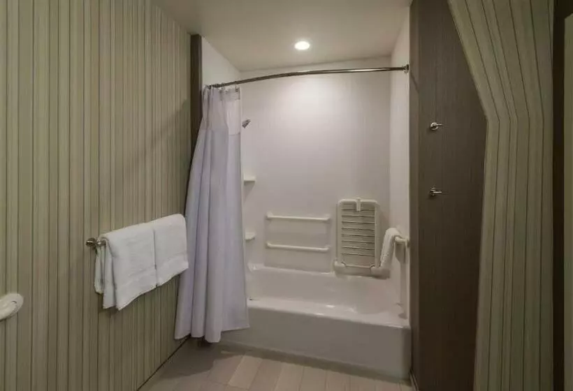 スタンダードルーム, Courtyard By Marriott Reno Downtown/riverfront